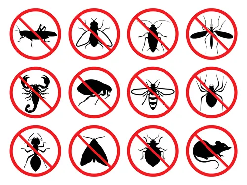 Commercial pest control services in Colorado Springs.